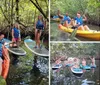 A group of people wearing life jackets are enjoying kayaking and paddleboarding in a scenic mangrove forest
