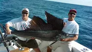Two smiling men are holding a large sailfish aboard a boat on the ocean.