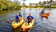 A group of people are enjoying a sunny day kayaking on a calm waterway lined with lush greenery and palm trees.