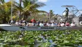 Everglades Express Small Group Tour from Miami with Airboat Ride Photo
