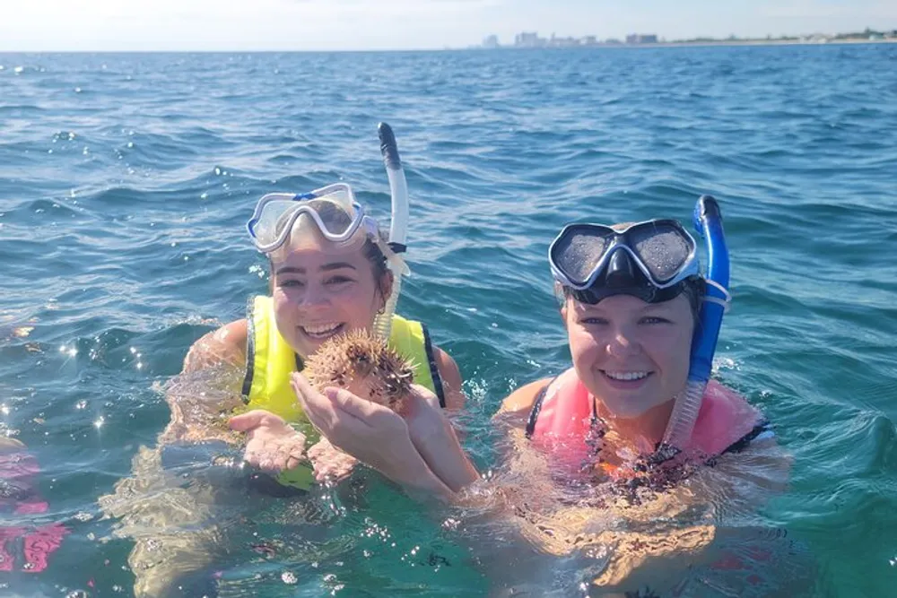 Two people are smiling and holding a sea urchin while snorkeling in the ocean