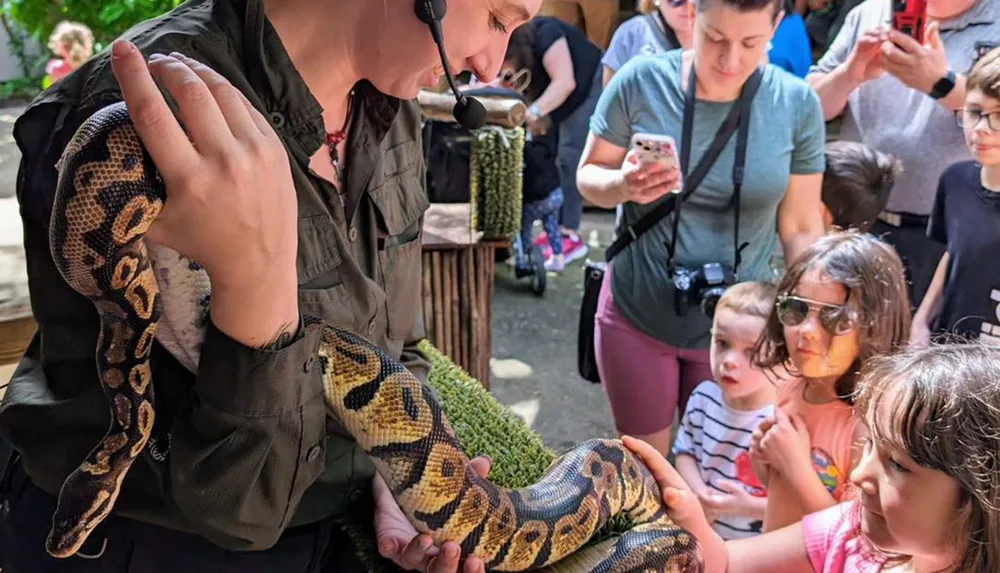 A person is holding a large python educating a group of attentive onlookers including children in an outdoor setting