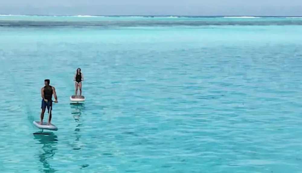 Two people are paddleboarding on a calm turquoise sea