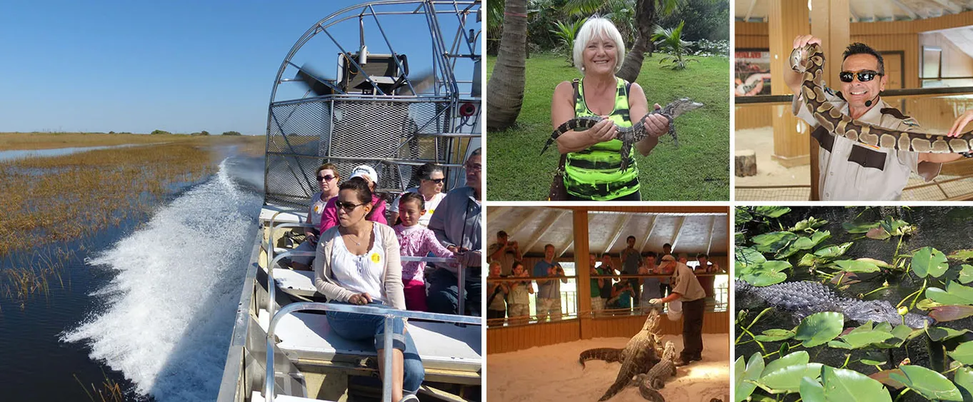 Miami Everglades Airboat Adventure with Biscayne Bay Cruise