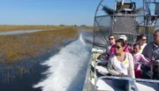 Passengers are riding on an airboat gliding through a wetland with tall grass on either side, creating a white wake on the water's surface behind them.