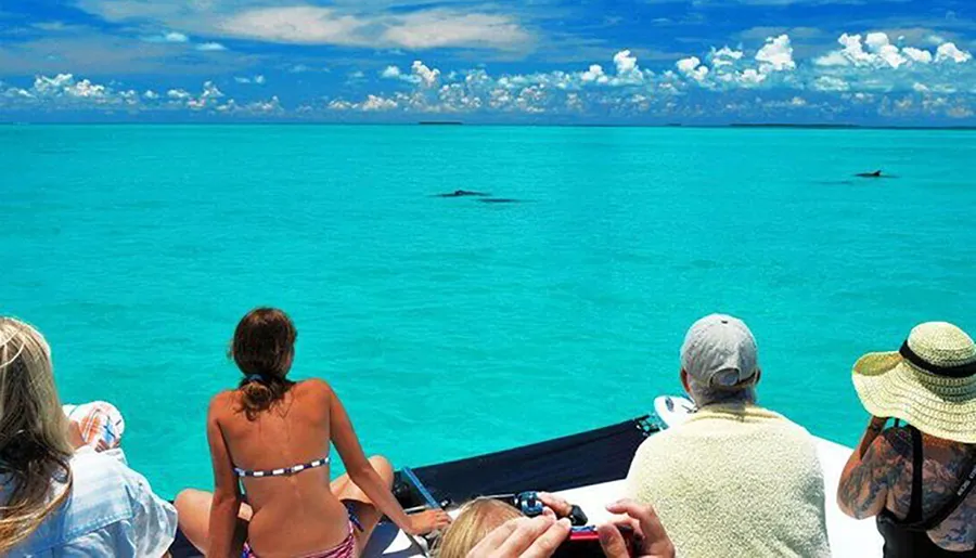 Tourists on a boat are watching whales in a turquoise blue sea.