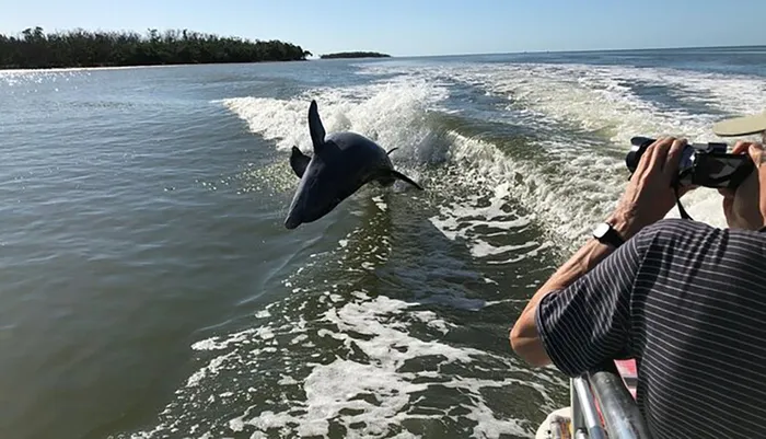 Small-Group Tour: Everglades Adventure Day Trip from Ft Lauderdale Photo