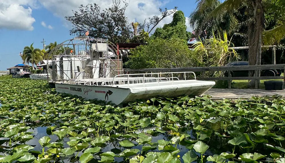 An airboat is docked alongside a waterway covered in lily pads under a sunny sky