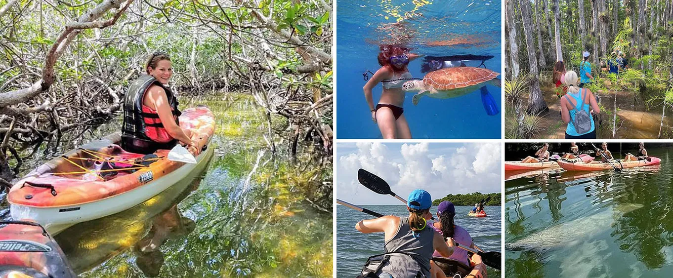 Florida Keys Eco, Paddle and Snorkel Tour