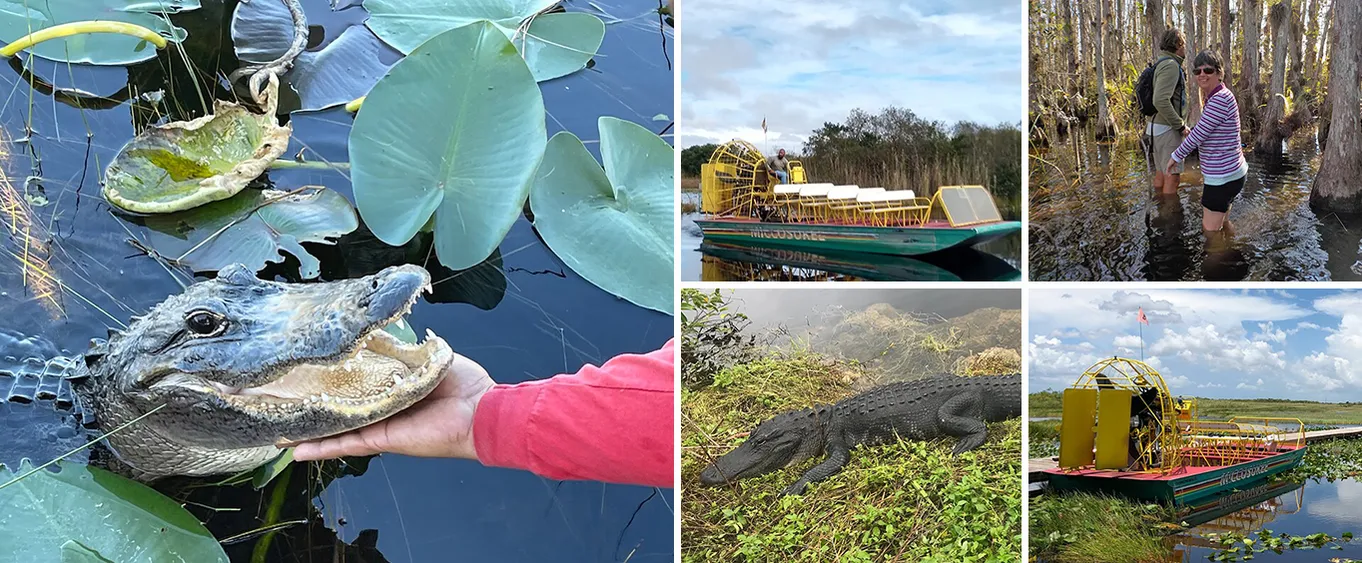 Swamp Walk with a Naturalist and Ten Thousand Islands Boat Tour