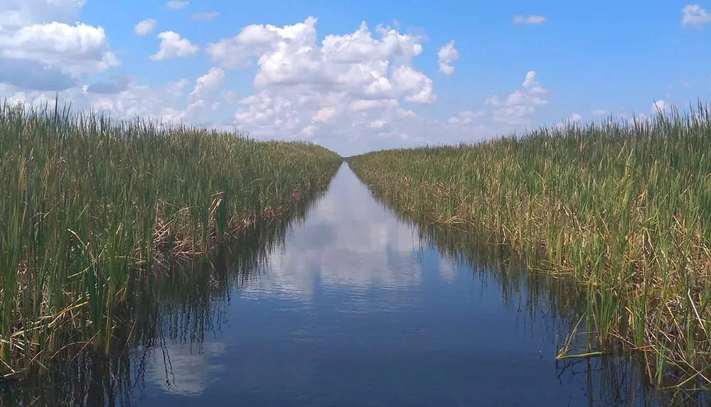 A straight waterway cuts through dense wetland vegetation under a blue sky dotted with clouds