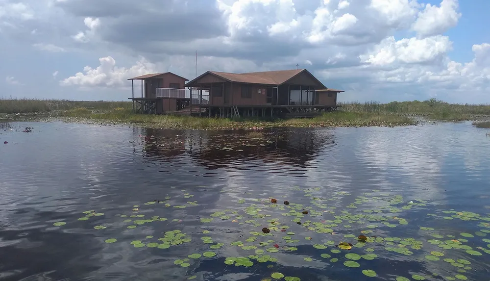 A stilt house sits surrounded by water and vegetation under a cloudy sky in a wetland environment