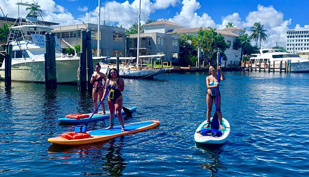 Three people are stand-up paddleboarding in a sunny waterway with boats and waterfront homes in the background
