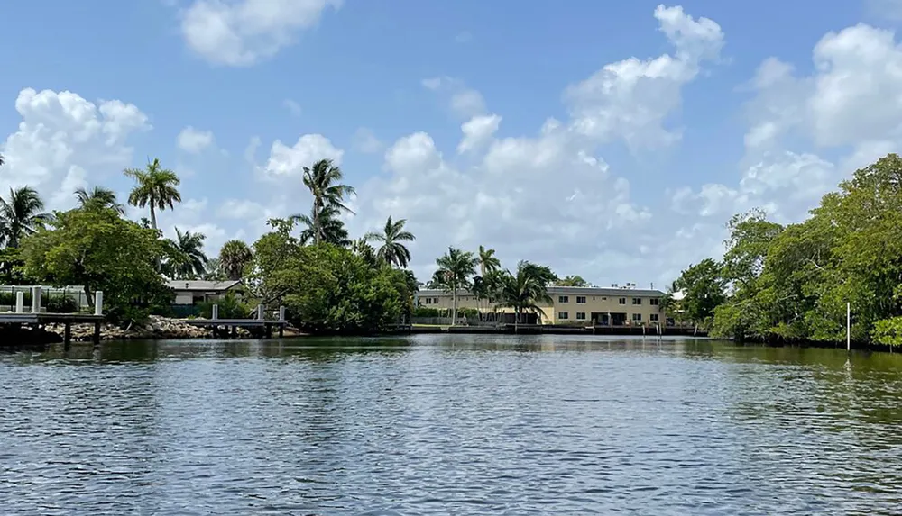 The image shows a serene waterfront view with lush greenery palm trees and residential buildings under a partly cloudy sky