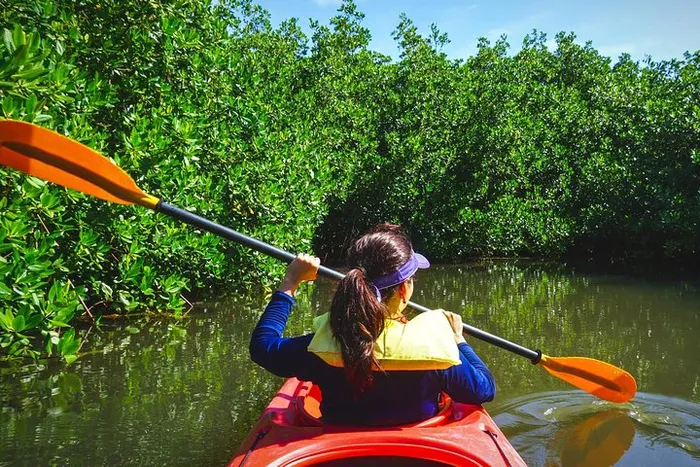 Fort Lauderdale’s Tropical Kayak Tour and Island Adventure Photo