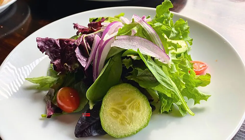A fresh garden salad with mixed greens cherry tomatoes red onion and cucumber slices is served on a white plate