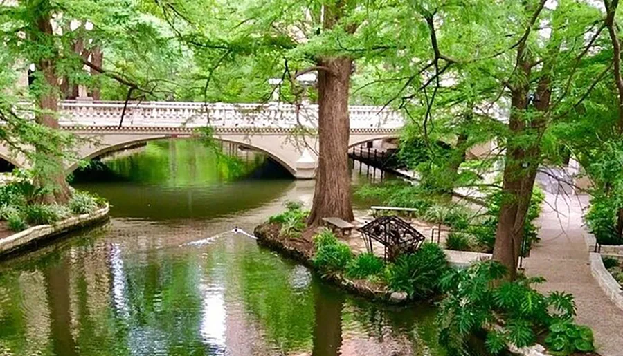 The image displays a serene riverside walkway with lush greenery and a graceful arched bridge crossing over calm waters.