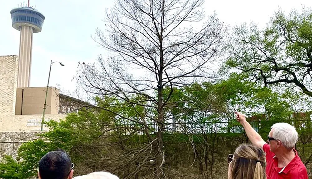 A group of people are looking at something in the distance with one individual pointing upwards against the backdrop of a tall tower and trees