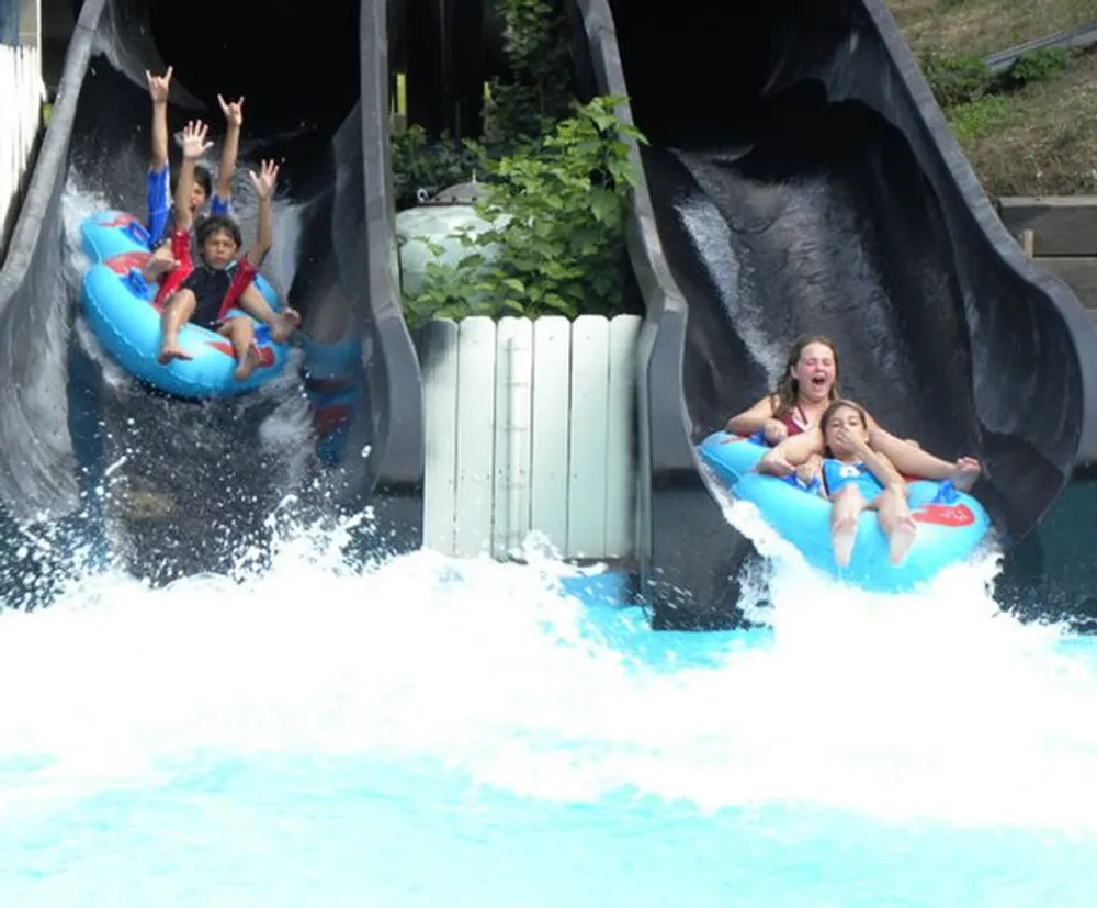 Excited individuals descend in tubes down parallel water slides into a splash pool