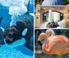 The image is a promotional advertisement showcasing orcas underwater next to an inset image of people enjoying a water ride highlighting SeaWorlds Summer Spectacular event from May 23 to August 3
