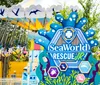 A child is joyfully observing an orca with a positive testimonial overlay while a small inset shows people riding a roller coaster