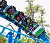 A child is joyfully observing an orca with a positive testimonial overlay while a small inset shows people riding a roller coaster