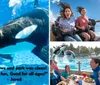 A child is joyfully observing an orca with a positive testimonial overlay while a small inset shows people riding a roller coaster