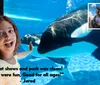 A child is joyfully observing an orca with a positive testimonial overlay while a small inset shows people riding a roller coaster