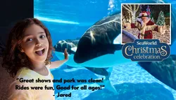 Popular Parques de Diversiones   