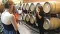 Fredericksburg Hill Country Aficionado Wine Tour from San Antonio Photo