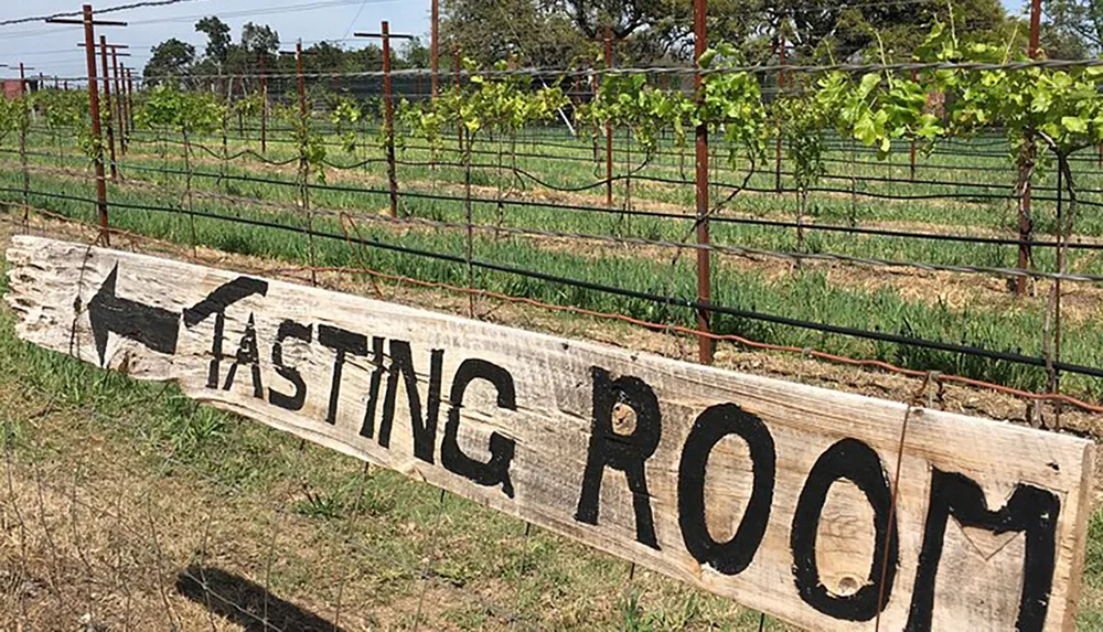 The image shows a rustic wooden sign with the words TASTING ROOM painted in black positioned in front of a vineyard under a clear sky