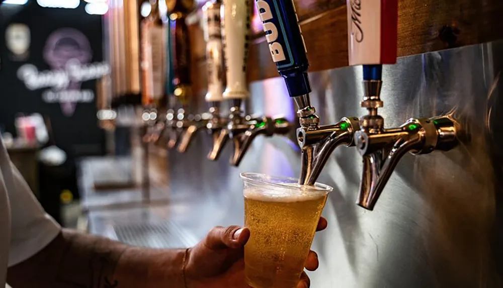 A person is filling a plastic cup with beer from a tap at a bar