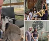 A woman with tattoos and jewelry is smiling at a lemur looking up at her