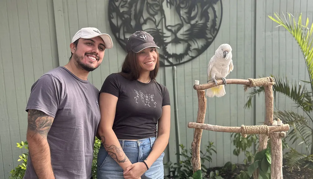 A man and a woman are smiling next to a cockatoo perched on a wooden stand with a tiger mural in the background