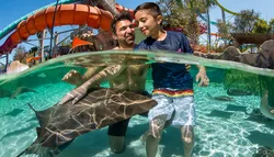 Popular Atracciones