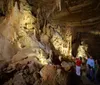 A family is admiring an underground pool in a beautifully lit cave with intricate rock formations surrounding them