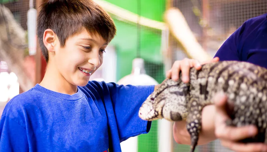 Hands on Interaction with Tegu