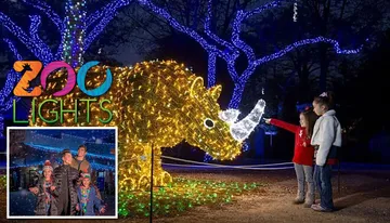 San Antonio Zoo Hours, Tickets & More Photo