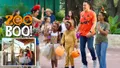 San Antonio Zoo Hours, Tickets & More Photo