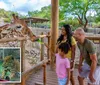 A family is happily observing a giraffe at a zoo or wildlife park
