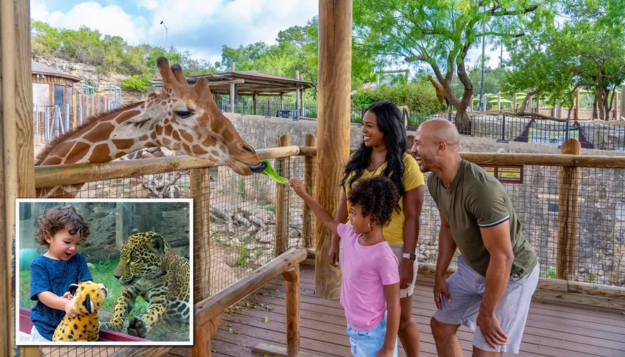 A family is happily observing a giraffe at a zoo or wildlife park.