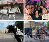 Lollypop Carriage Company Downtown San Antonio Carriage Rides Collage