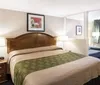Photo of Econo Lodge Inn  Suites Fiesta Park San Antonio Room