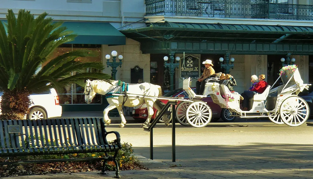 A white horse pulls a decorative carriage with passengers through a sunny urban area driven by a person wearing a hat