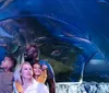 A family is enjoying an underwater view as they stand in a glass tunnel through an aquarium surrounded by various marine life