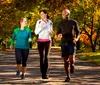 Three people are enjoying a jog together on a sunny autumn day among rows of trees with colorful fall foliage