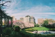 The image features a scenic urban park in springtime with blossoming pink trees, people enjoying the outdoors, and classic architecture in the background under a blue sky.