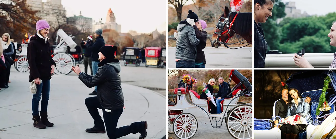 60 Min Surprise Proposal Carriage Ride