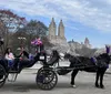 A horse-drawn carriage adorned with purple flowers carries passengers through a park with blooming trees and city buildings in the background