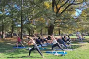 A group of people is participating in an outdoor yoga class in a park filled with trees and enjoying the sunny weather.